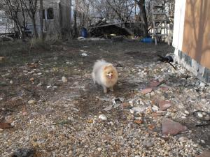 Прикачена снимка