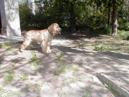 Прикачена снимка