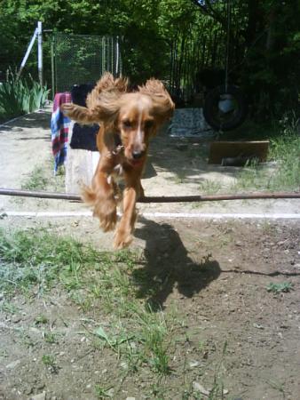 Прикачена снимка