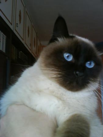 Прикачена снимка