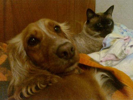 Прикачена снимка