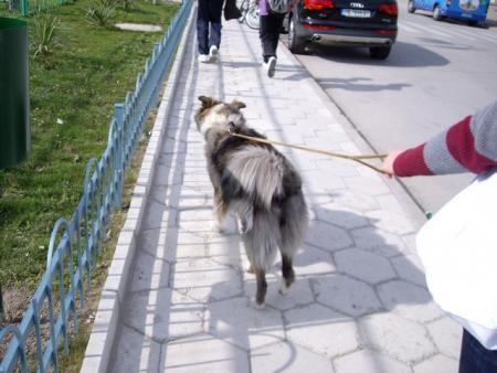 Прикачена снимка