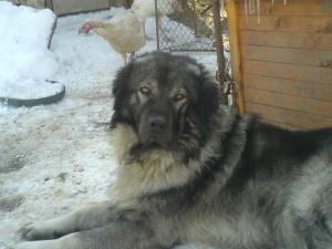 Прикачена снимка