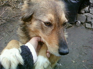 Прикачена снимка