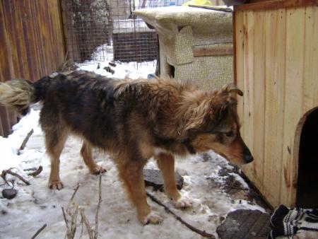 Прикачена снимка