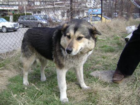 Прикачена снимка