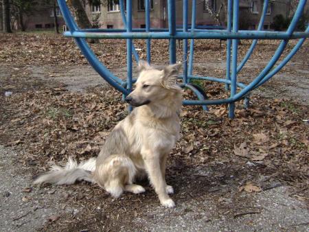 Прикачена снимка