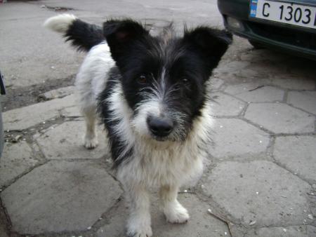 Прикачена снимка