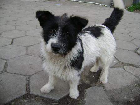 Прикачена снимка