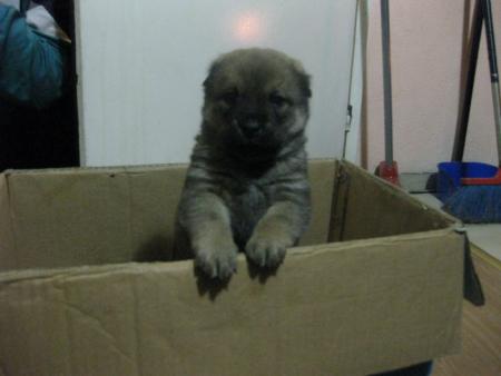 Прикачена снимка