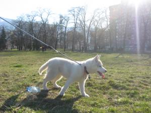 Прикачена снимка