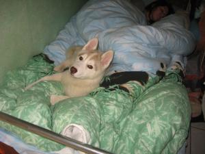 Прикачена снимка