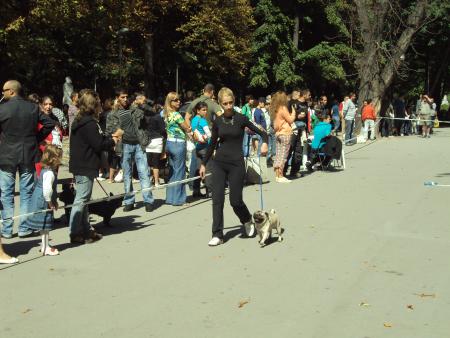Прикачена снимка