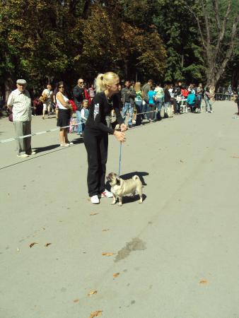 Прикачена снимка