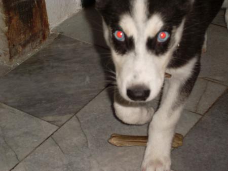 Прикачена снимка