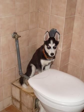 Прикачена снимка