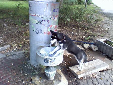 Прикачена снимка