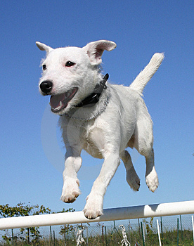 Прикачена снимка