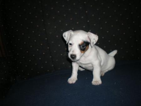 Прикачена снимка