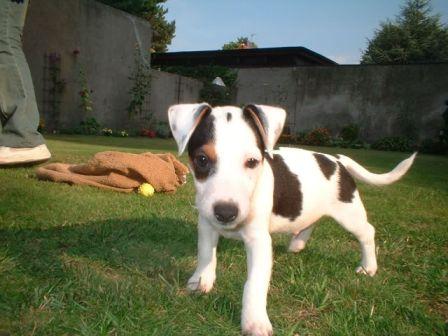 Прикачена снимка