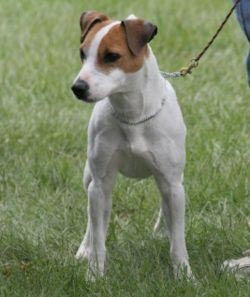 Прикачена снимка