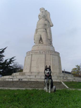 Прикачена снимка