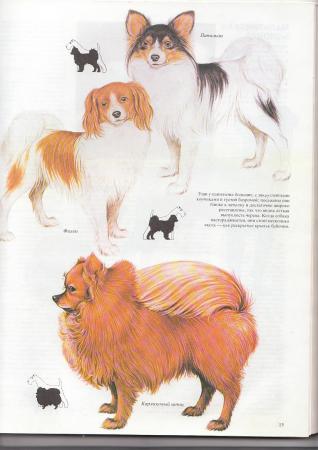 Прикачена снимка