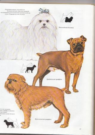 Прикачена снимка