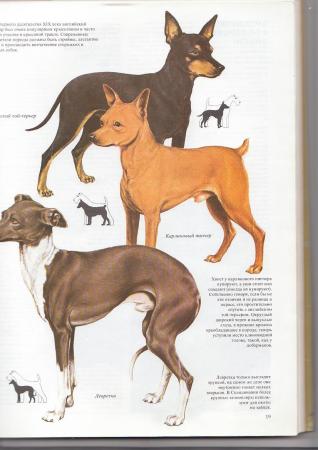 Прикачена снимка