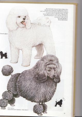 Прикачена снимка