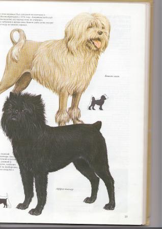 Прикачена снимка