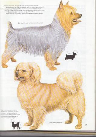 Прикачена снимка