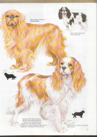 Прикачена снимка