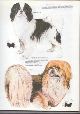 Прикачена снимка