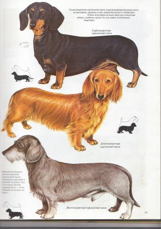 Прикачена снимка