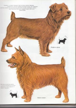 Прикачена снимка