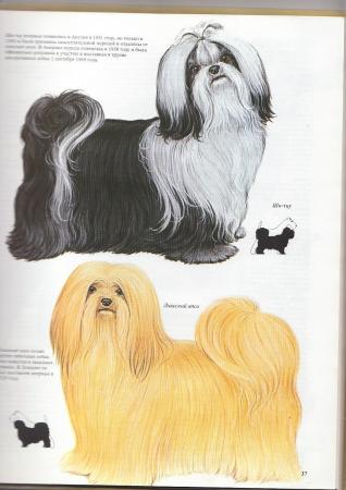 Прикачена снимка