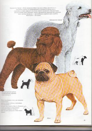 Прикачена снимка