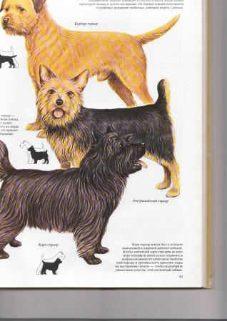 Прикачена снимка