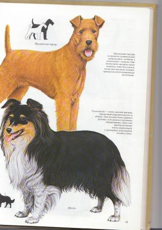 Прикачена снимка