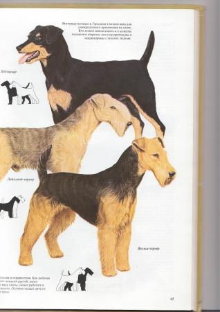 Прикачена снимка