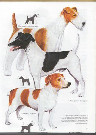 Прикачена снимка