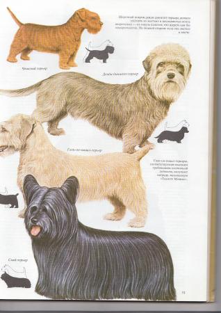 Прикачена снимка