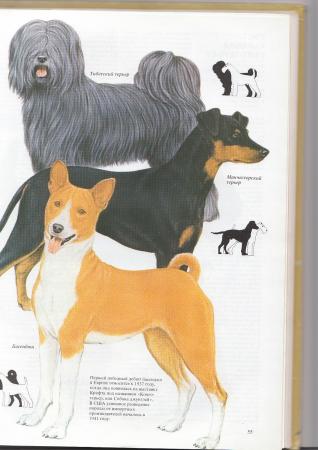 Прикачена снимка