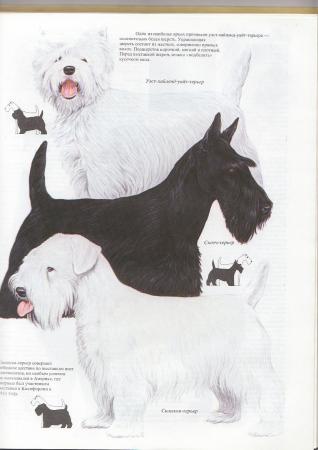 Прикачена снимка