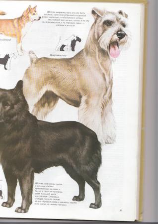 Прикачена снимка