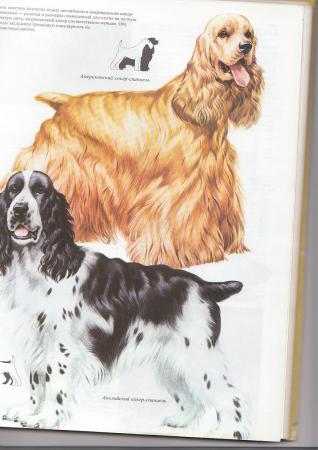 Прикачена снимка