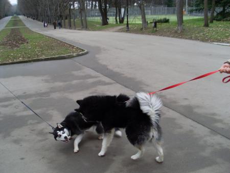 Прикачена снимка
