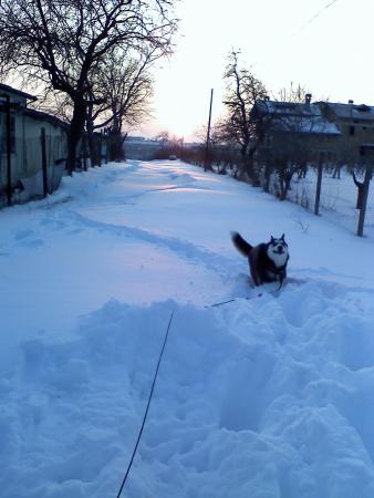 Прикачена снимка