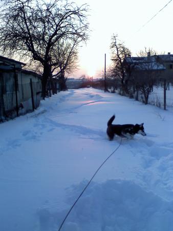 Прикачена снимка